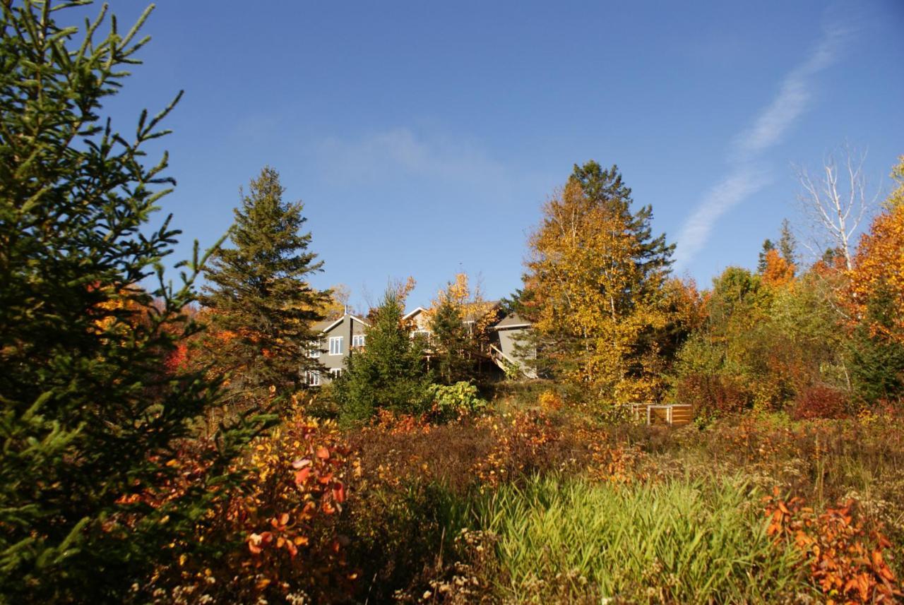 Top Of Algonquin Bed And Breakfast Mattawa Eksteriør billede